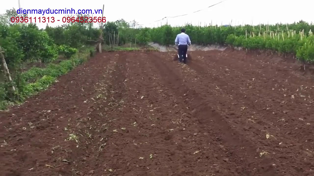 Điện Máy Minh Tâm