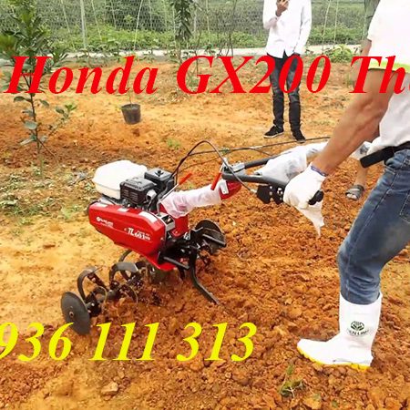 Máy Xới Đất Honda GX200 Thái Lan