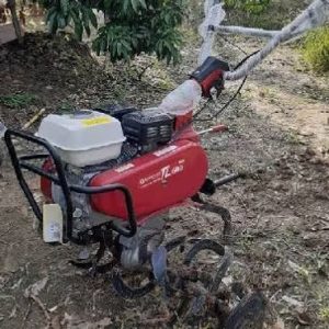 Máy xới đất Honda TL600HD
